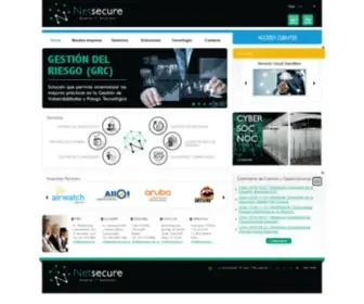 Netsecure.cl(Netsecure) Screenshot