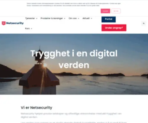 Netsecurity.no(Netsecurity AS) Screenshot