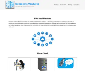 Netseems.com(Safe & High Quality Cloud Infra) Screenshot