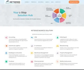 Netsensebs.com(Netsense Business Solutions) Screenshot