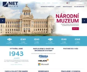 Netservis.cz(Tvorba webových stránek a e) Screenshot