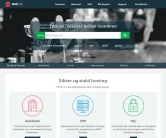 Netsite.dk(Domæne) Screenshot