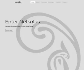Netsolus.com(IT Services Kansas City) Screenshot