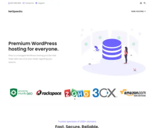 Netspeedia.com(Custom Web Creations) Screenshot