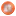 Nettingnow.com Favicon