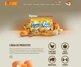 Nettoalimentos.com.br(Netto Alimentos) Screenshot