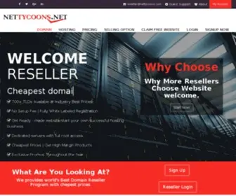 Nettycoons.com(Website Design) Screenshot