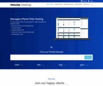 Netulip.host(Fast Hosting in the UK from £2.89) Screenshot