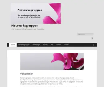 Netvaerksgruppen.dk(Netværksgruppen) Screenshot