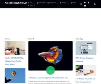 Networkustad.com(NetworkUstad) Screenshot