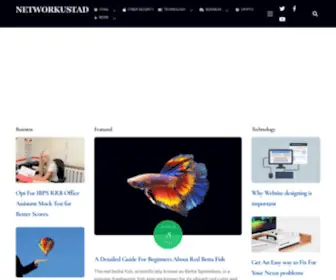 Networkustad.com(Networkustad) Screenshot