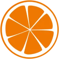Netzorange.de Logo