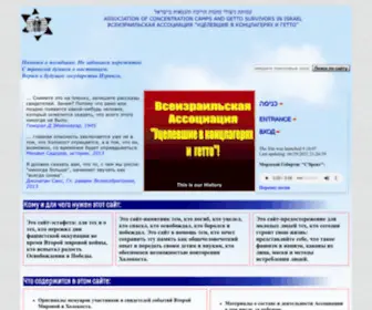 Netzulim.org Screenshot