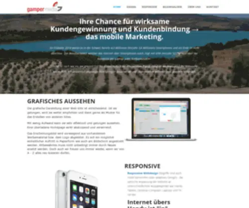 Netzweb.ch(OnePage) Screenshot