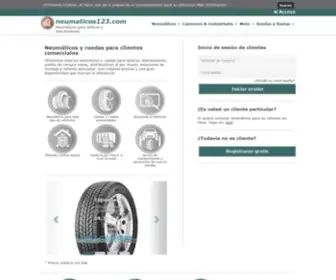 Neumaticos123.com(Neumáticos) Screenshot