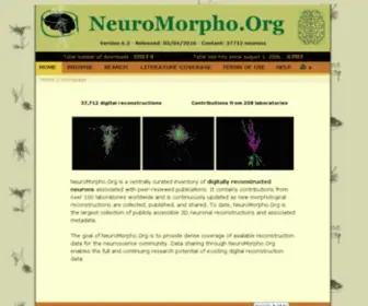 Neuromorpho.org(A centrally curated inventory of digitally reconstructed neurons) Screenshot