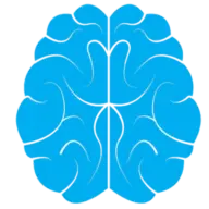 Neuroshailesh.com Favicon