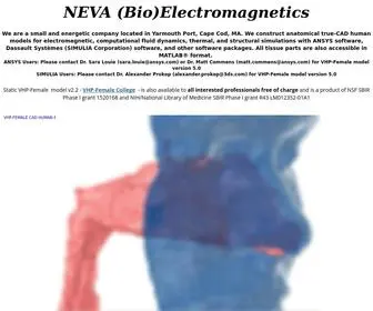 Nevaelectromagnetics.com(Neva Electromagnetics) Screenshot