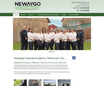 Newaygoinsurance.com(Full-Service Insurance Agency) Screenshot