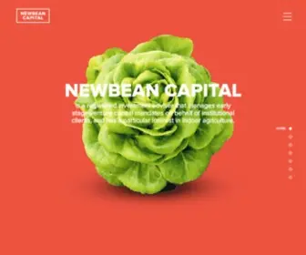 Newbeancapital.com(Newbean Capital) Screenshot