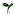 Newbud.com.tw Favicon
