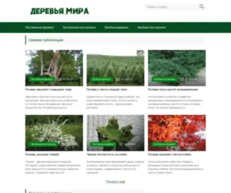 Newderevo.ru(Сайт) Screenshot