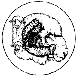 Newellramsale.com Favicon