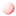 Neweracp.com Favicon