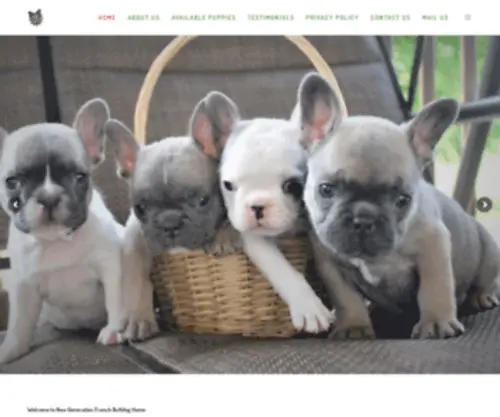 Newgenerationfrenchbulldogs.com(Buy French Bulldog Puppies) Screenshot