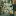 Newgoodthing.com Favicon