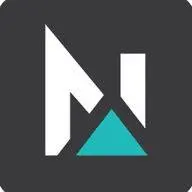 Newpointmarketing.com Logo