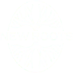 Newrootsimmigration.com Favicon