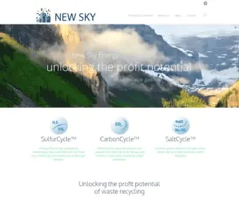 Newskyenergy.com(New Sky Energy) Screenshot