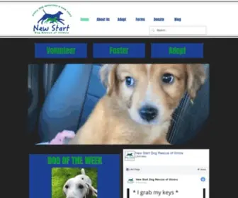 Newstartdogrescue.org(New Start Dog Rescue of Illinois) Screenshot
