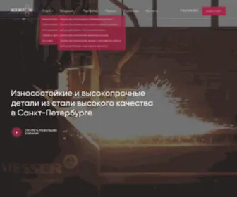 Newton.spb.ru(НЬЮТОН ГРУПП) Screenshot