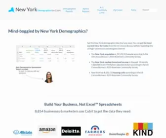 Newyork-Demographics.com(New York Demographics) Screenshot