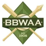 Newyorkbbwaa.com Favicon