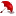 Newyorkcityburlesque.com Favicon