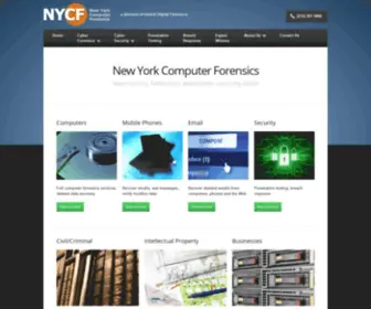 Newyorkcomputerforensics.com(New York Computer Forensics) Screenshot