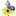 Nexphasis.fr Favicon
