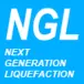 Nextgenerationliquefaction.org Favicon