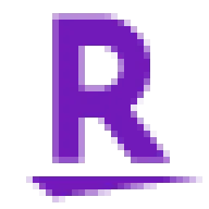 Nextperf.com Favicon