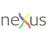 Nexusconsultation.com Favicon