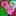 NezumiWorld.com Favicon