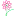 Nflowers.com Favicon