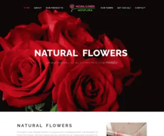 Nflowers.com(Natural Flowers) Screenshot