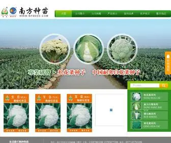 Nfseed.com(瑞安市南方蔬菜种苗有限公司) Screenshot