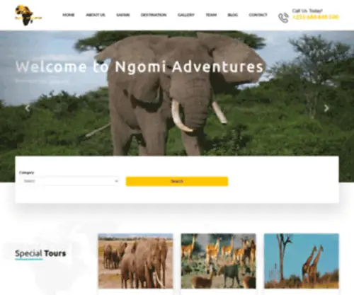 Ngomiadventures.com(Ngomi Adventures) Screenshot