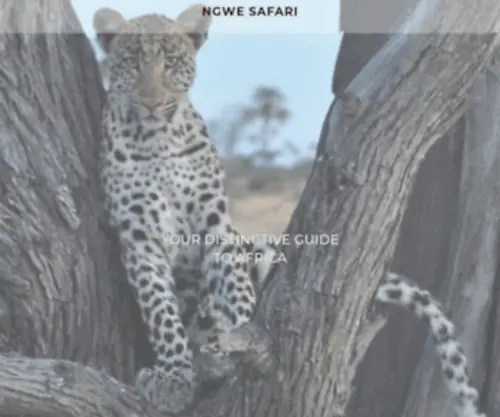 Ngwesafari.co.za(About Ngwe Safari) Screenshot