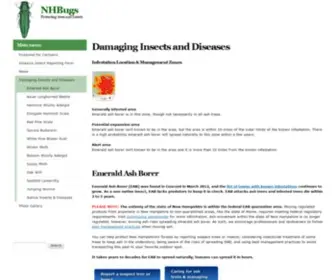 Nhbugs.org(Damaging Insects and Diseases) Screenshot